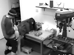 Couple Get Horny And Fucking Hardcore At Work